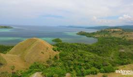 gallery/amelia_sea/amelia-sea-view-labuan-bajo-10.jpg