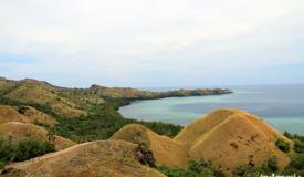 gallery/amelia_sea/amelia-sea-view-labuan-bajo-8.jpg