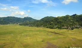 gallery/cancar_spider/cancar-spider-rice-field-manggarai-5.jpg