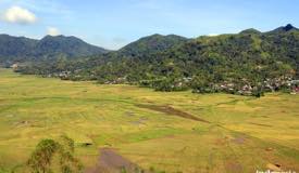 gallery/cancar_spider/cancar-spider-rice-field-manggarai-8.jpg