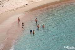 gallery/kelor_island/swim-on-the-kelor-island-2.jpg