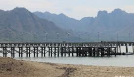 gallery/komodo_island/komodo-island-quay.jpg