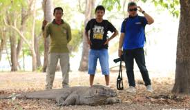 gallery/komodo_island/komodo_varanus-komodoensis_4.jpg