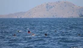 gallery/manta-point/manta-point-komodo-labuan-bajo-1.jpg