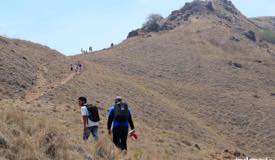 gallery/padar_island/path-to-the-top-1.jpg