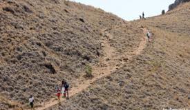 gallery/padar_island/the-path-to-the-hill.jpg