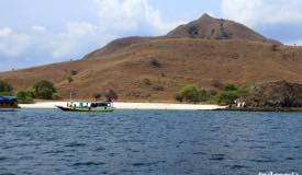 gallery/pink-beach/pink-beach-komodo-island-01.jpg