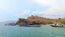 gallery/pink-beach/pink-beach-komodo-island-02.jpg