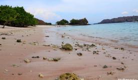 gallery/pink-beach/pink-beach-komodo-island-05.jpg