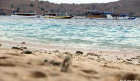 gallery/pink-beach/pink-beach-komodo-island-07.jpg