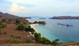 gallery/pink-beach/pink-beach-komodo-island-09.jpg