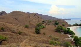 gallery/pink-beach/pink-beach-komodo-island-10.jpg