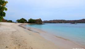 gallery/pink-beach/pink-beach-komodo-island-16.jpg