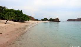 gallery/pink-beach/pink-beach-komodo-island-18.jpg