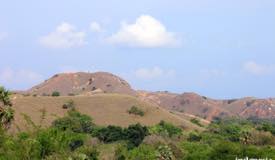 gallery/rinca_island/komodo-island-topography-1.jpg