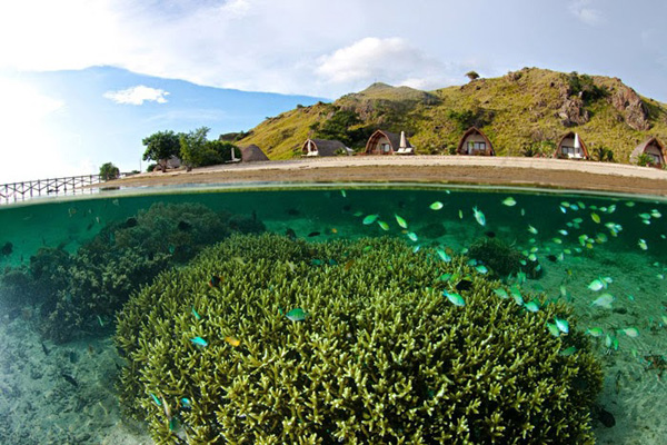Sebayur Island in Labuan Bajo, Flores